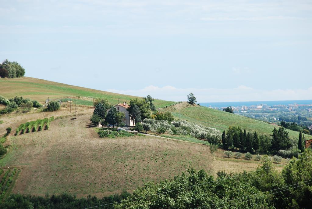 Bianco Nuvola Montecchio (Marche) Quarto foto